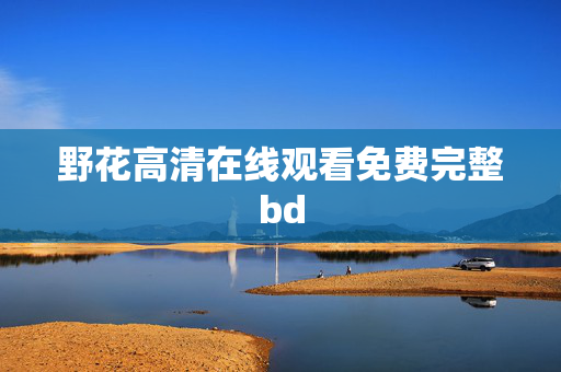 野花高清在线观看免费完整bd