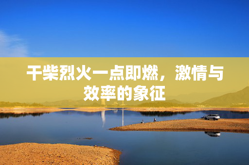 干柴烈火一点即燃，激情与效率的象征