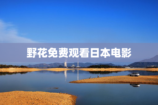野花免费观看日本电影