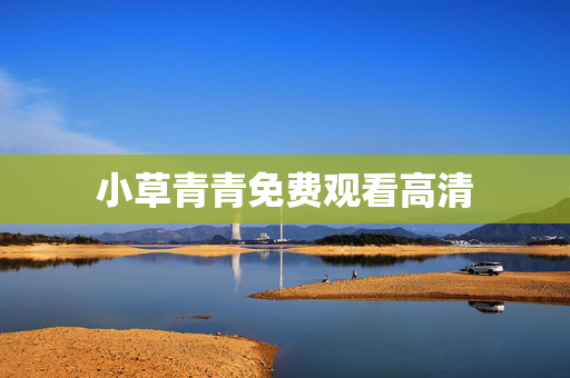 小草青青免费观看高清