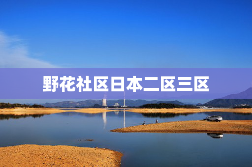 野花社区日本二区三区
