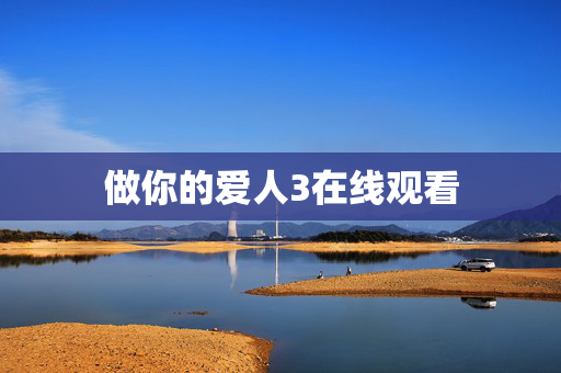 做你的爱人3在线观看
