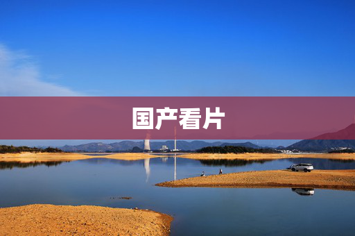国产看片