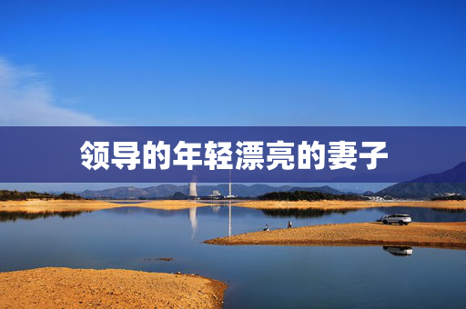 领导的年轻漂亮的妻子