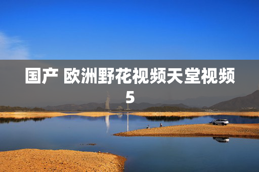 国产 欧洲野花视频天堂视频5
