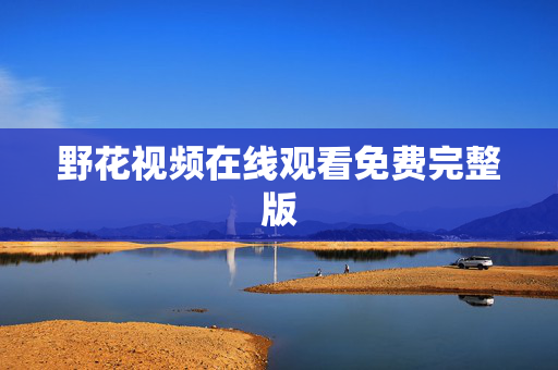 野花视频在线观看免费完整版