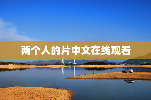 两个人的片中文在线观看
