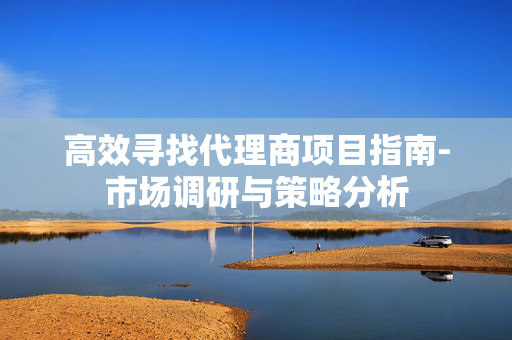 高效寻找代理商项目指南-市场调研与策略分析