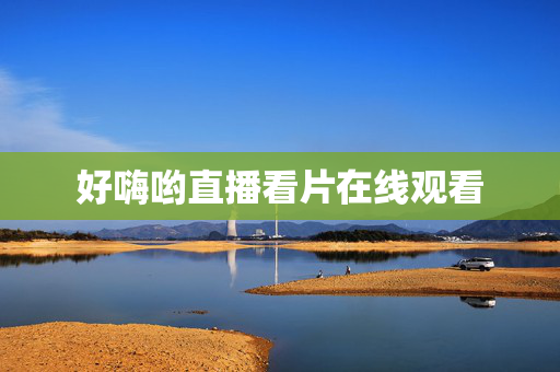好嗨哟直播看片在线观看