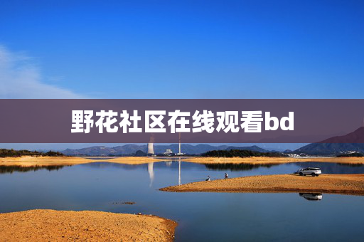 野花社区在线观看bd