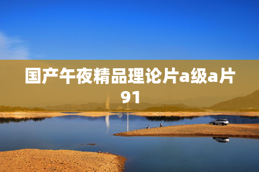 国产午夜精品理论片a级a片91