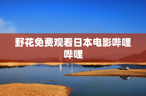 野花免费观看日本电影哔哩哔哩