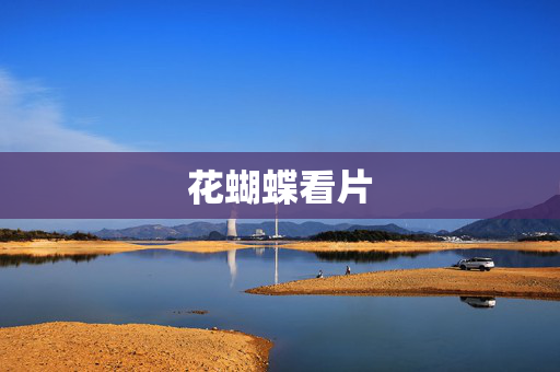 花蝴蝶看片