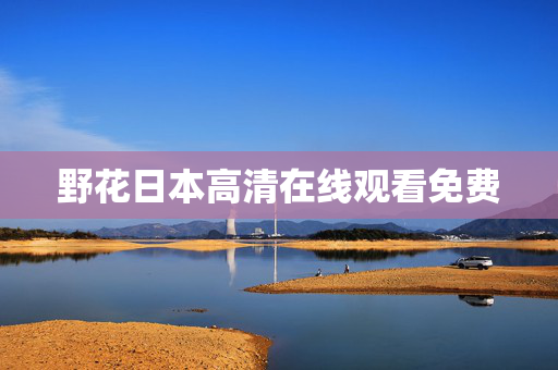 野花日本高清在线观看免费
