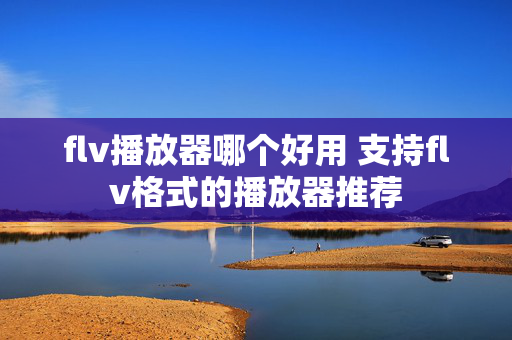 flv播放器哪个好用 支持flv格式的播放器推荐 flv播放器哪个好用 支持flv格式的播放器推荐