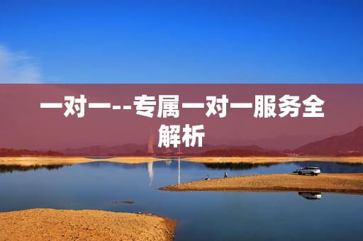 一对一--专属一对一服务全解析