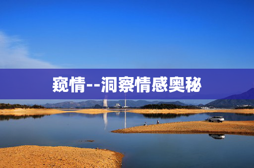 窥情--洞察情感奥秘