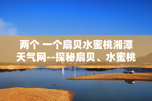 两个 一个扇贝水蜜桃湘潭天气网--探秘扇贝、水蜜桃与湘潭天气网