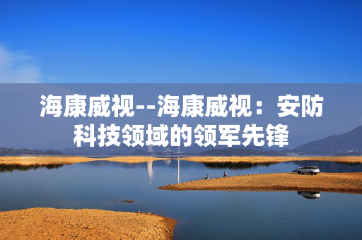 海康威视--海康威视：安防科技领域的领军先锋
