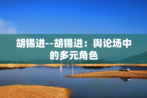 胡锡进--胡锡进：舆论场中的多元角色