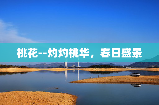 桃花--灼灼桃华，春日盛景