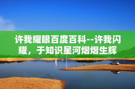 许我耀眼百度百科--许我闪耀，于知识星河熠熠生辉