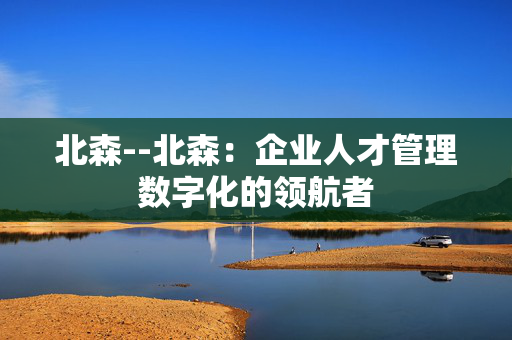 北森--北森：企业人才管理数字化的领航者