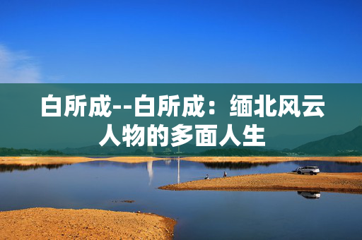 白所成--白所成：缅北风云人物的多面人生
