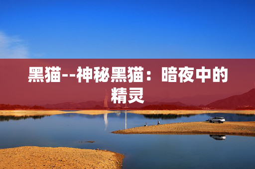 黑猫--神秘黑猫：暗夜中的精灵