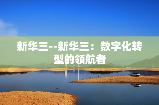 新华三--新华三：数字化转型的领航者
