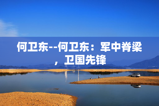何卫东--何卫东：军中脊梁，卫国先锋