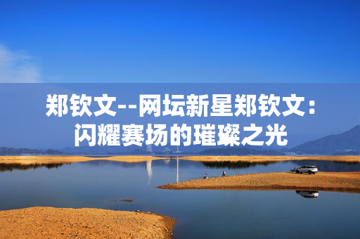 郑钦文--网坛新星郑钦文：闪耀赛场的璀璨之光
