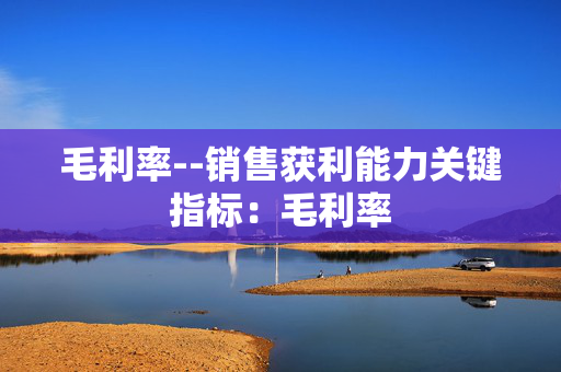 毛利率--销售获利能力关键指标：毛利率