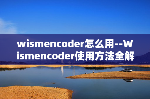wismencoder怎么用--Wismencoder使用方法全解析