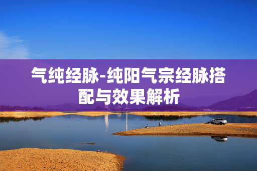 气纯经脉-纯阳气宗经脉搭配与效果解析 气纯经脉-纯阳气宗经脉搭配与效果解析