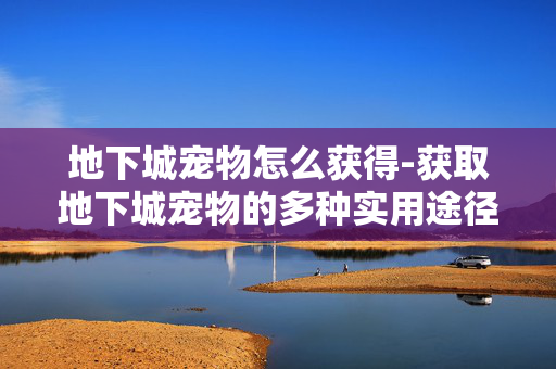 地下城宠物怎么获得-获取地下城宠物的多种实用途径
