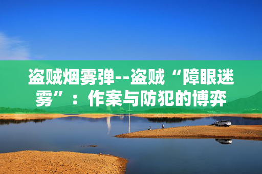 盗贼烟雾弹--盗贼“障眼迷雾”：作案与防犯的博弈