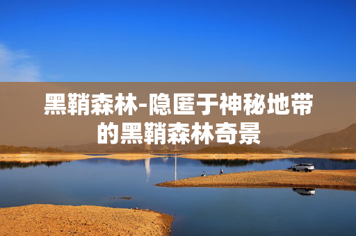 黑鞘森林-隐匿于神秘地带的黑鞘森林奇景 黑鞘森林-隐匿于神秘地带的黑鞘森林奇景