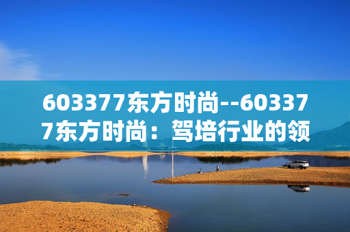 603377东方时尚--603377东方时尚：驾培行业的领军力量