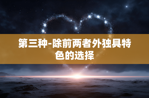 第三种-除前两者外独具特色的选择