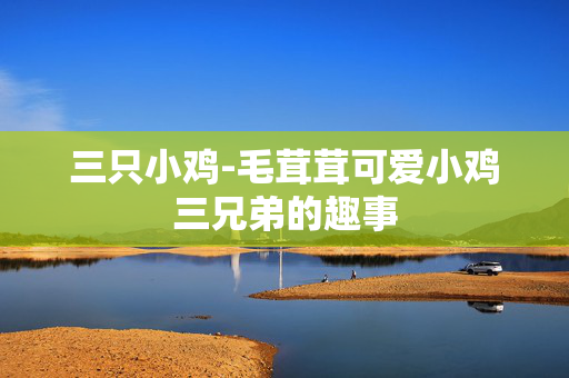 三只小鸡-毛茸茸可爱小鸡三兄弟的趣事