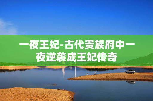 一夜王妃-古代贵族府中一夜逆袭成王妃传奇 一夜王妃-古代贵族府中一夜逆袭成王妃传奇