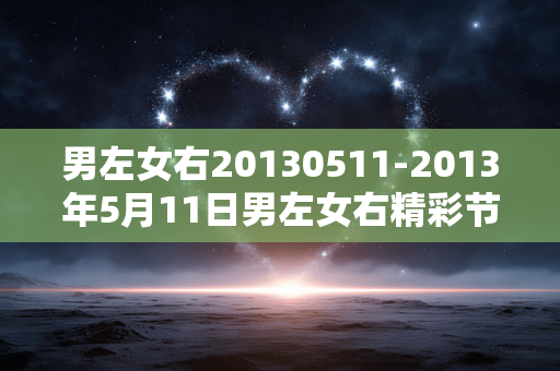 男左女右20130511-2013年5月11日男左女右精彩节目内容