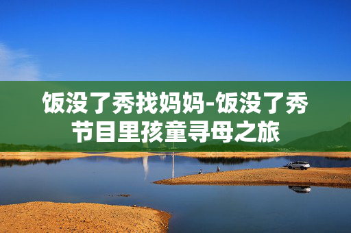 饭没了秀找妈妈-饭没了秀节目里孩童寻母之旅 饭没了秀找妈妈-饭没了秀节目里孩童寻母之旅
