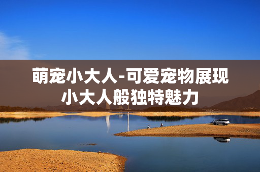 萌宠小大人-可爱宠物展现小大人般独特魅力