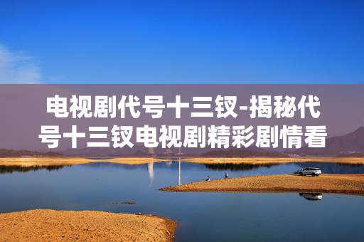 电视剧代号十三钗-揭秘代号十三钗电视剧精彩剧情看点