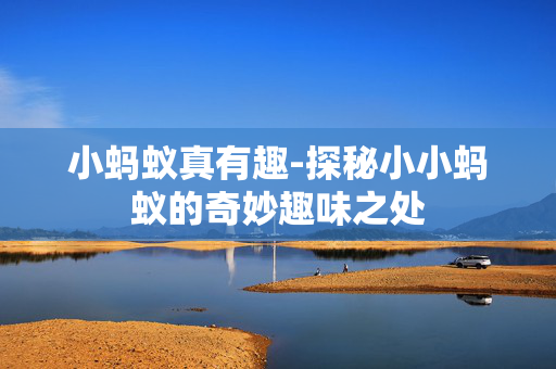 小蚂蚁真有趣-探秘小小蚂蚁的奇妙趣味之处