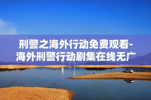 刑警之海外行动免费观看-海外刑警行动剧集在线无广告免费看