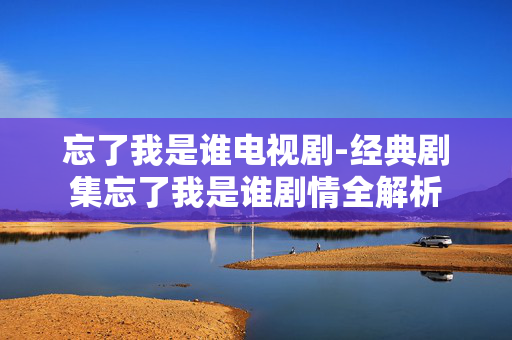 忘了我是谁电视剧-经典剧集忘了我是谁剧情全解析
