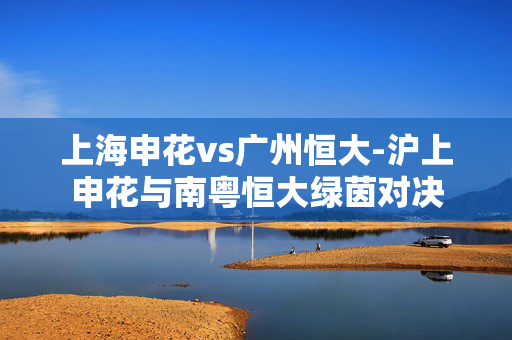 上海申花vs广州恒大-沪上申花与南粤恒大绿茵对决 上海申花vs广州恒大-沪上申花与南粤恒大绿茵对决